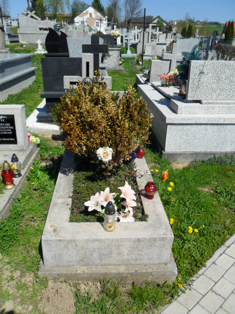 Julia Dudowicz 1865 Ryglice - Grobonet - Wyszukiwarka osób pochowanych