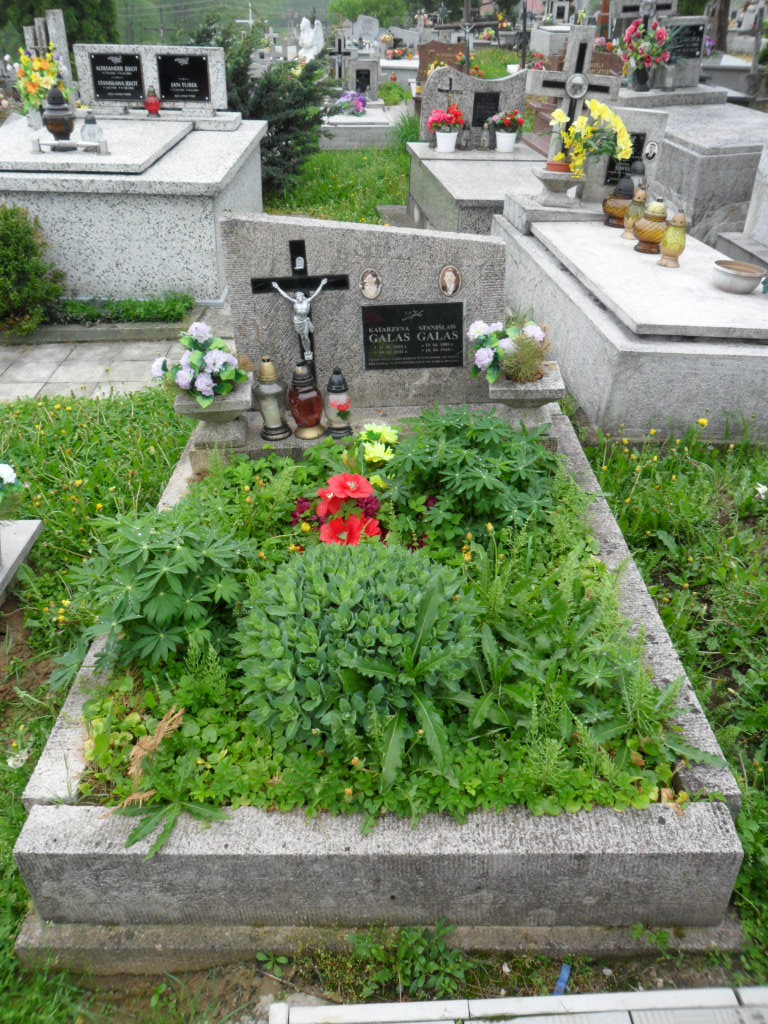 Katarzyna Galas 1888 Ryglice - Grobonet - Wyszukiwarka osób pochowanych