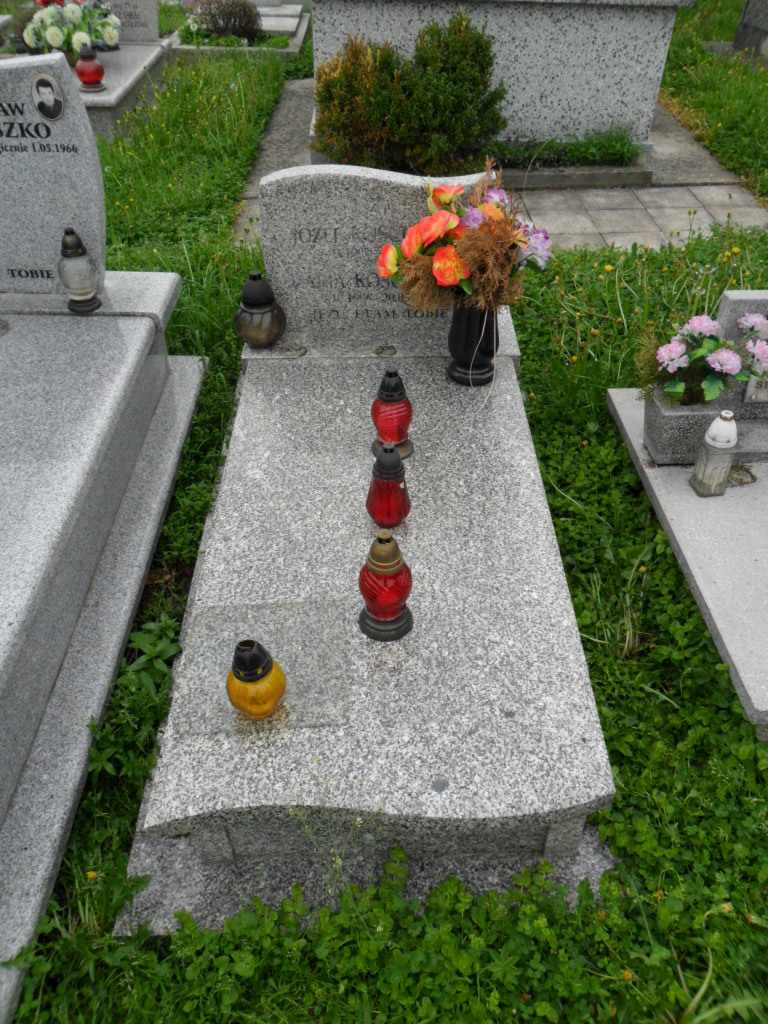 Józef Kosciuszko Ryglice - Grobonet - Wyszukiwarka osób pochowanych