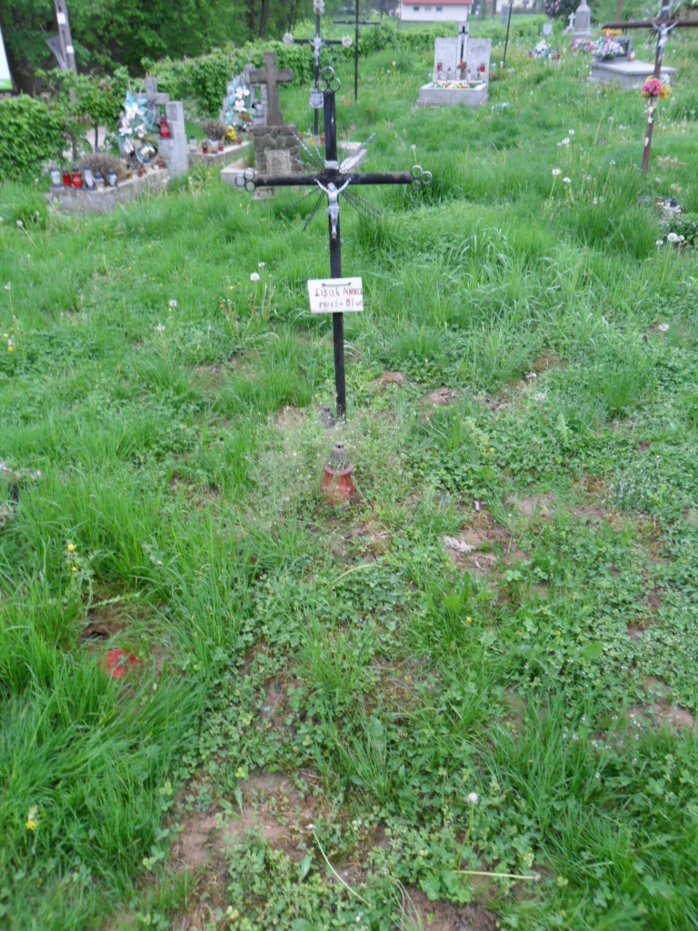 Anna Lisak Ryglice - Grobonet - Wyszukiwarka osób pochowanych