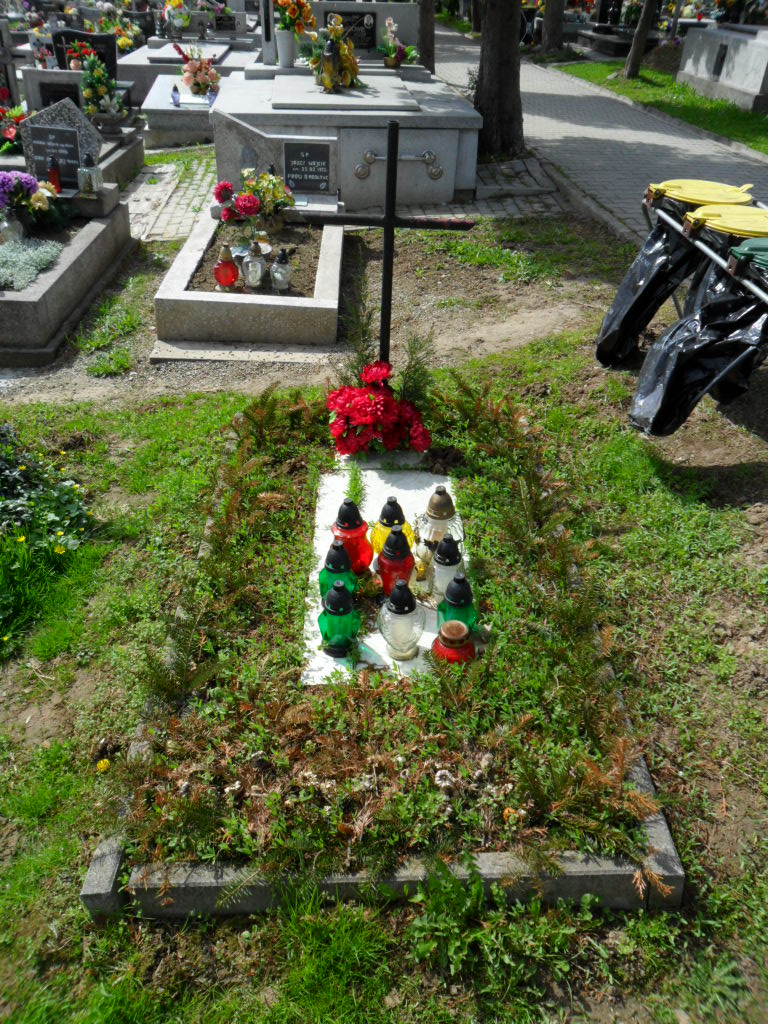 Czesław Wójcik 1960 Ryglice - Grobonet - Wyszukiwarka osób pochowanych